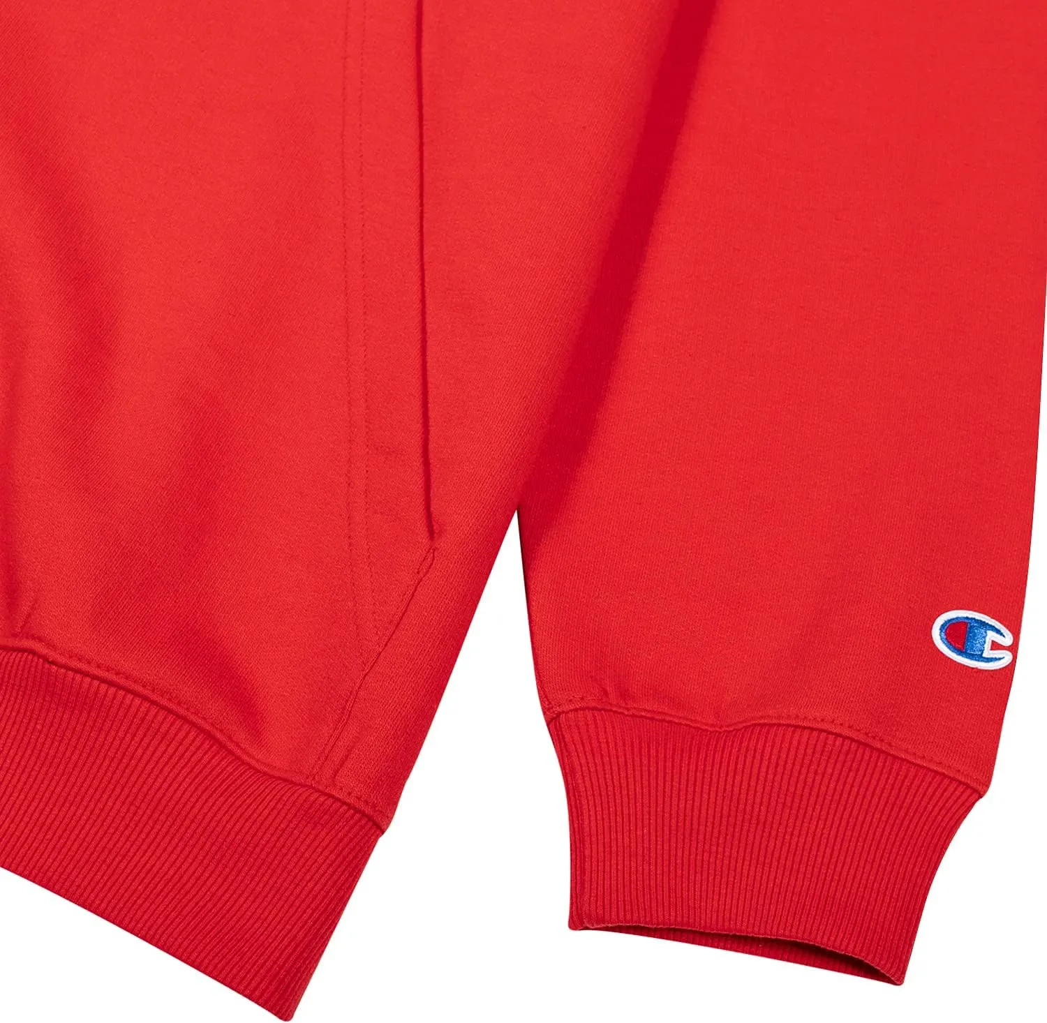 Champion Big and Tall Zip Hoodies for Men  Mens Heavyweight Zip Hoodie Jacket
